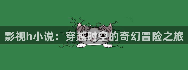 飞马良子影视有限公司：影视h小说：穿越时空的奇幻冒险之旅