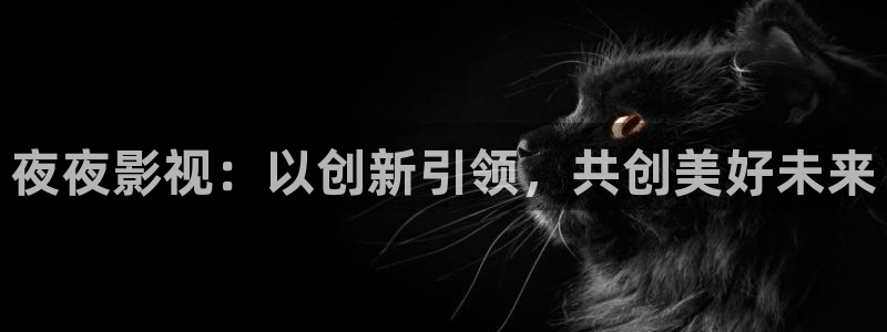 飞马影院下载安装：夜夜影视：以创新引领，共创美好未来