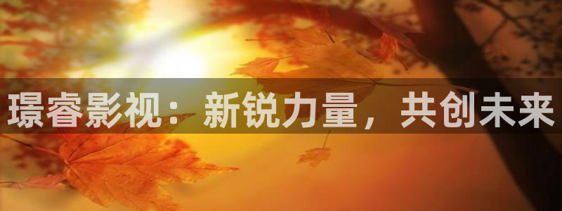 飞马影院下载：璟睿影视：新锐力量，共创未来