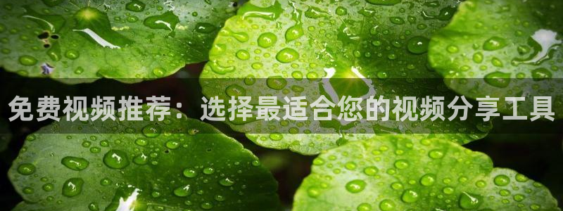 飞马影视电影：免费视频推荐：选择最适合您的视频分享工具